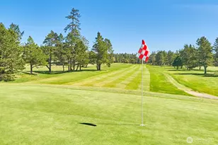 30311 U Pl, Ocean Park, WA 98640 - Photo 16