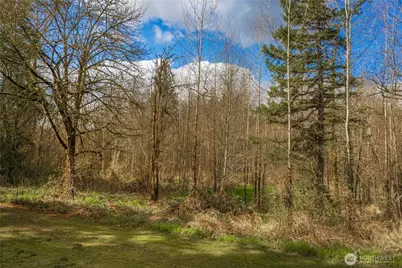 32416 Mtn Highway E, Eatonville, WA 98328 - Photo 24