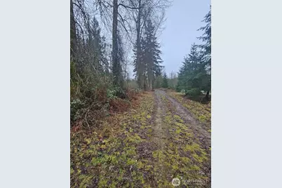 25933 96th Avenue E, Graham, WA 98338 - Photo 2