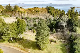 0 Lighthouse Keepers Rd, Ilwaco, WA 98624 - Photo 4