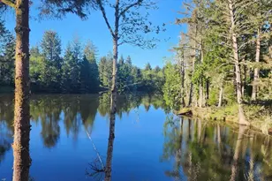 4 Lakeview Ln, South Bend, WA 98586 - Photo 10