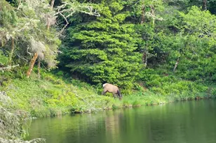 4 Lakeview Ln, South Bend, WA 98586 - Photo 40