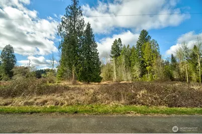 20217 Whitefish Lane SE, Tenino, WA 98589 - Photo 1