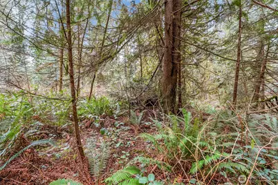 2902 136th Street NW, Gig Harbor, WA 98332 - Photo 8