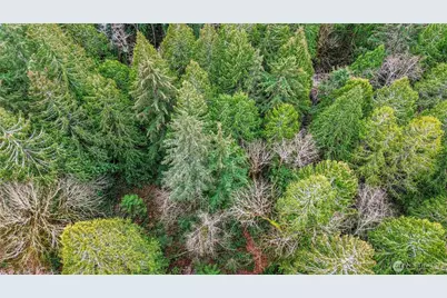 2902 136th Street NW, Gig Harbor, WA 98332 - Photo 14