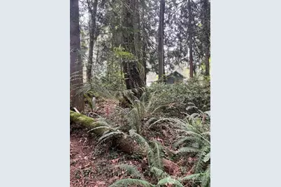 2902 136th Street NW, Gig Harbor, WA 98332 - Photo 4