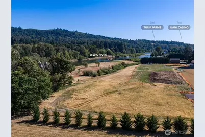 3109 Heron Street, Woodland, WA 98674 - Photo 30