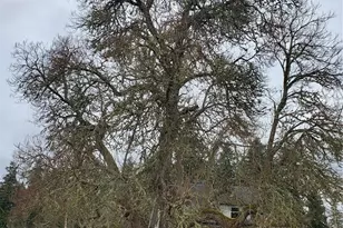 7740 196th Ave NE, Redmond, WA 98053 - Photo 28