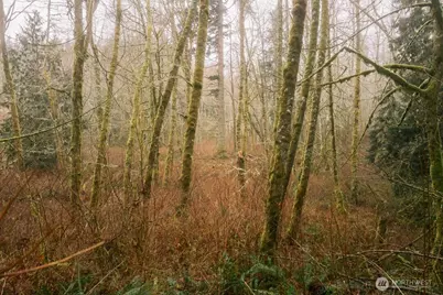 0 Lopez Street, Bellingham, WA 98229 - Photo 10