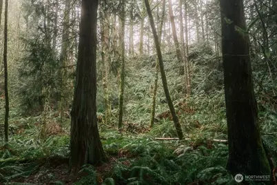 0 Lopez Street, Bellingham, WA 98229 - Photo 16