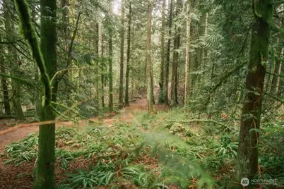 0 Lopez Street, Bellingham, WA 98229 - Photo 20