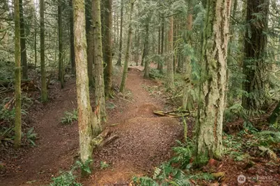 0 Lopez Street, Bellingham, WA 98229 - Photo 8