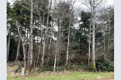 314 Lake View Loop NE, Ocean Shores, WA 98569 - Photo 1