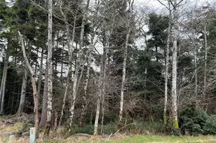 314 Lakeview Loop NE, Ocean Shores, WA 98569 - Photo 1