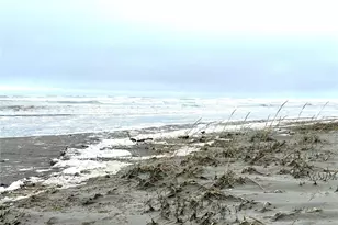 1323 196th Pl, Long Beach, WA 98631 - Photo 26