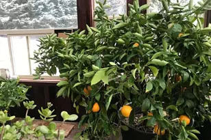 14405 SW Pohl Rd, Vashon, WA 98070 - Photo 30