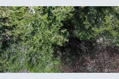 64 Doe Place, Sequim, WA 98383 - Photo 4