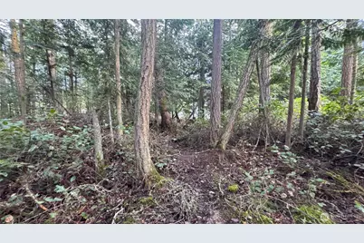 64 Doe Place, Sequim, WA 98383 - Photo 14