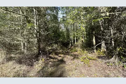 64 Doe Place, Sequim, WA 98383 - Photo 8