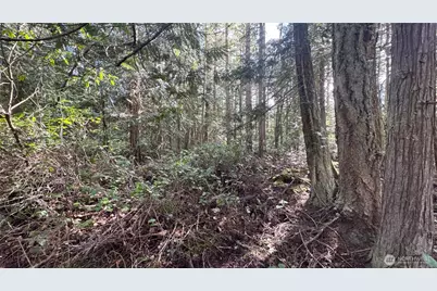 64 Doe Place, Sequim, WA 98383 - Photo 22