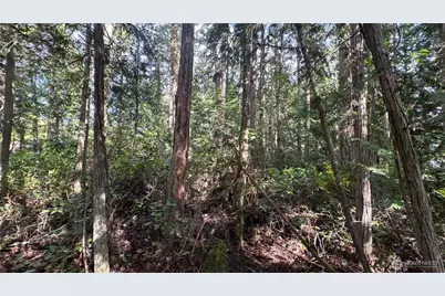 64 Doe Place, Sequim, WA 98383 - Photo 26