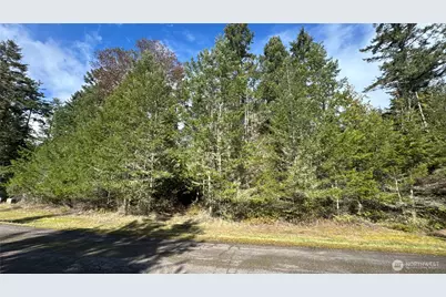 64 Doe Place, Sequim, WA 98383 - Photo 6