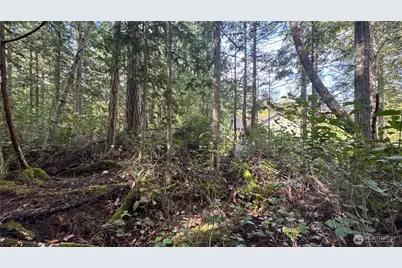 64 Doe Place, Sequim, WA 98383 - Photo 16