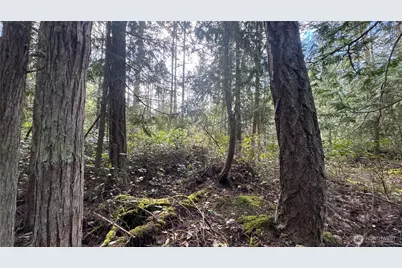 64 Doe Place, Sequim, WA 98383 - Photo 10