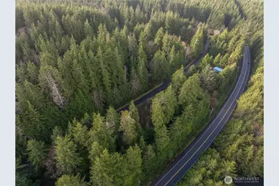 0 Tr 15 Salal Drive, Copalis Beach, WA 98535 - Photo 10