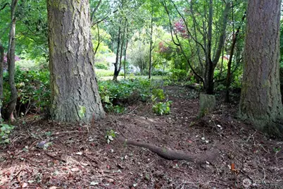 1042 Crest Avenue, Port Townsend, WA 98368 - Photo 8