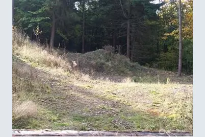 19728 Forest Canyon Road E, Sumner, WA 98390 - Photo 10