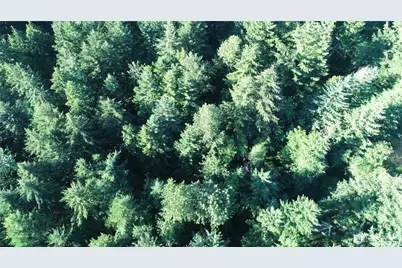 19728 Forest Canyon Road E, Sumner, WA 98390 - Photo 4