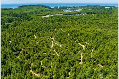 4 Bungalow Loop, Pacific Beach, WA 98571 - Photo 12