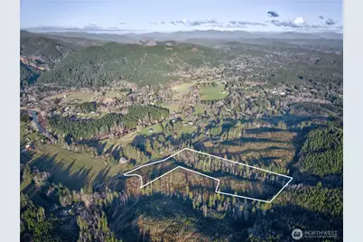 0 Tract 3 South Valley Road, Naselle, WA 98638 - Photo 16