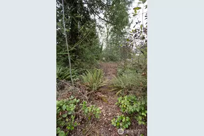 0 Clear Creek Road NW, Silverdale, WA 98383 - Photo 16