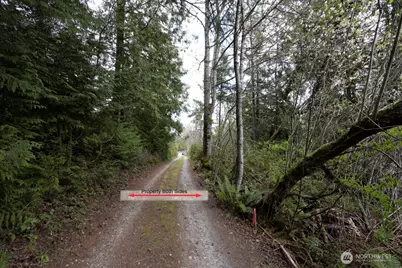 0 Clear Creek Road NW, Silverdale, WA 98383 - Photo 12