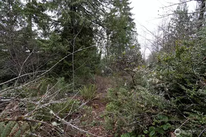 0 Clear Creek Road NW, Silverdale, WA 98383 - Photo 14