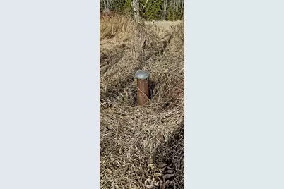 2610 E 39th Terrace, Bellingham, WA 98266 - Photo 6