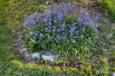 135 NW Walker Road, Poulsbo, WA 98370 - Photo 18