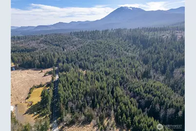 0 Deer Park Lot 1 Road, Port Angeles, WA 98362 - Photo 10