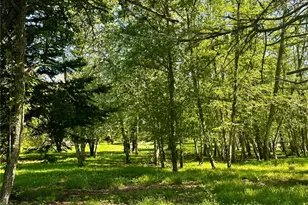 111 Baker Ln, Friday Harbor, WA 98250 - Photo 18