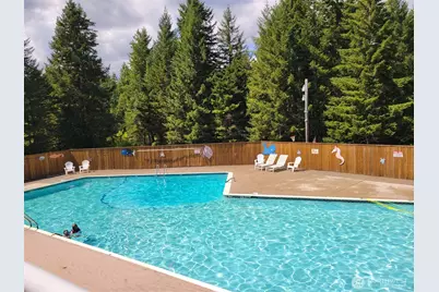 60 N Diamond Head Drive, Lilliwaup, WA 98555 - Photo 28