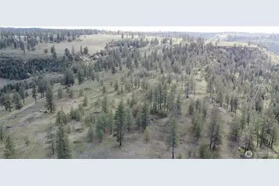 0 Xxx Miles Creston Road N, Davenport, WA 99122 - Photo 6