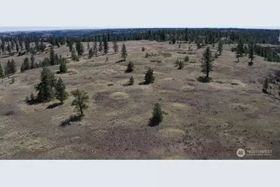 0 Xxx Miles Creston Road N, Davenport, WA 99122 - Photo 18