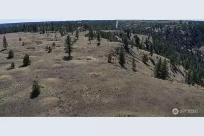 0 Xxx Miles Creston Road N, Davenport, WA 99122 - Photo 2