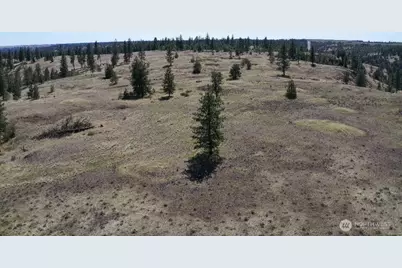 0 Xxx Miles Creston Road N, Davenport, WA 99122 - Photo 20