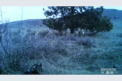 0 Road 20 NW Or Peach Rd, Mansfield, WA 98843 - Photo 16