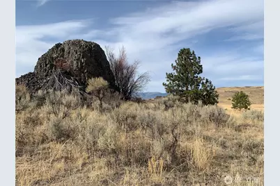 0 Road 20 NW Or Peach Rd, Mansfield, WA 98843 - Photo 6