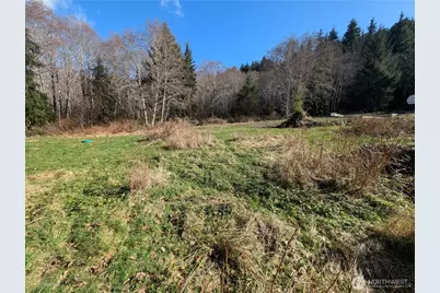 215 Elk Creek Ridge Road, Forks, WA 98331 - Photo 10