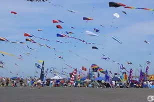 205 Bolstad Ave, Long Beach, WA 98641 - Photo 8